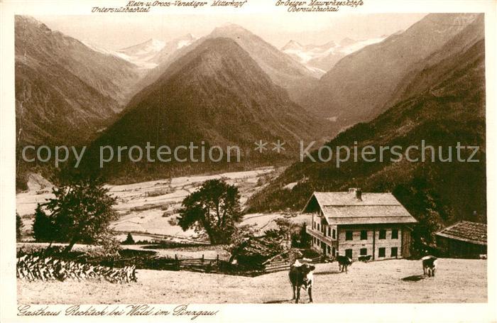 Wald Pinzgau Gathaus Rechteck
