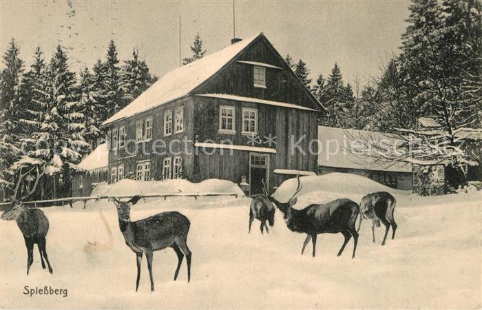 Friedrichroda Spiessberghaus mit Rotwild