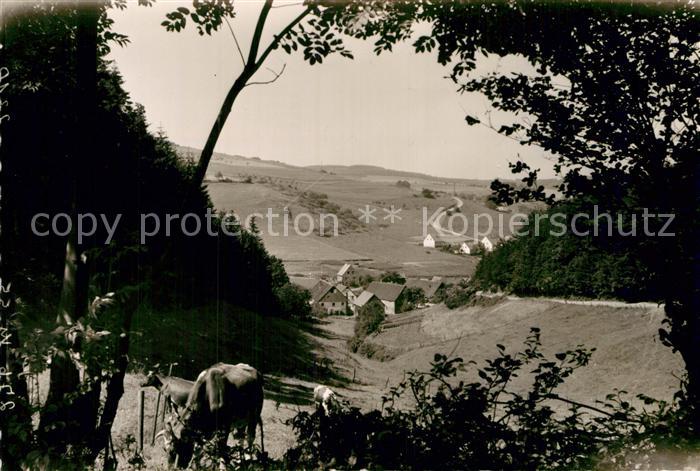 Arnsberg Westfalen Panorama