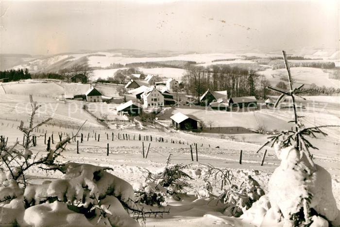 Wildewiese Teilansicht