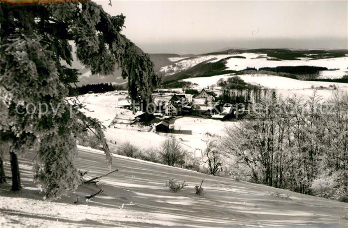 Wildewiese Teilansicht
