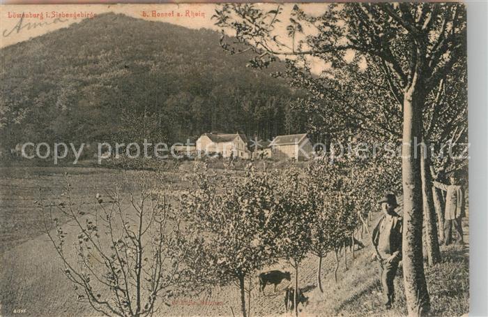 Loewenburg Siebengebirge Teilansicht