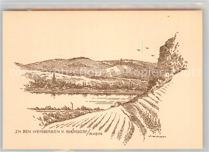 Rhoendorf In den Weinbergen