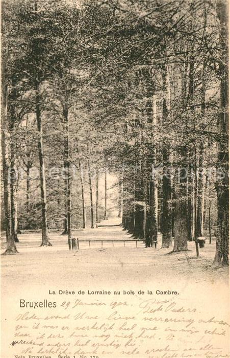 Bruessel Bruxelles Allee