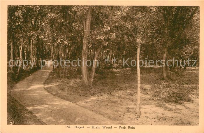 Heyst-sur-Mer Flandre Klein Woud Petit Bois