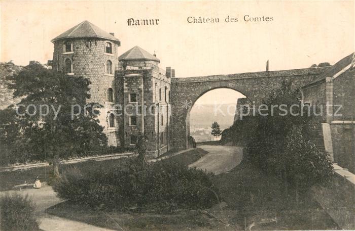Namur sur Meuse Chateau des Comtes