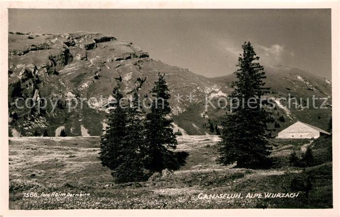 Kanisfluh Alpe Wurzach