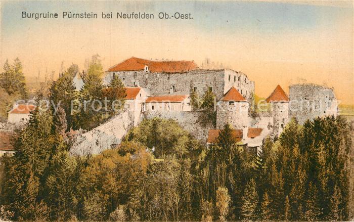 Neufelden Burgruine Puernstein