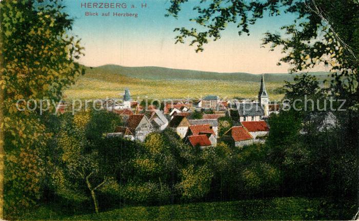 Herzberg Harz Ansicht vom Waldrand aus