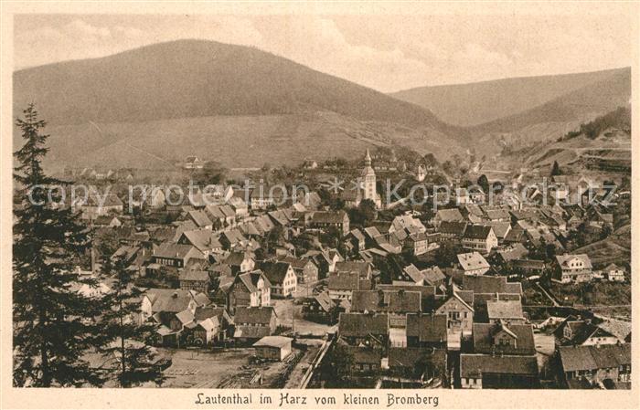 Lautenthal Harz Panorama Blick vom kleinen Bromberg