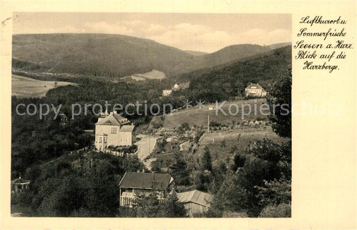 Seesen Harz Panorama Blick auf die Harzberge