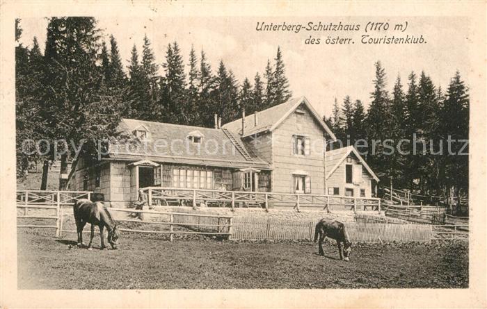 Muggendorf Niederoesterreich Unterberg Schutzhaus Pferdekoppel oesterreichischer