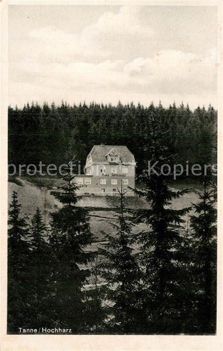 Tanne Harz Pension Haus Sanssouci