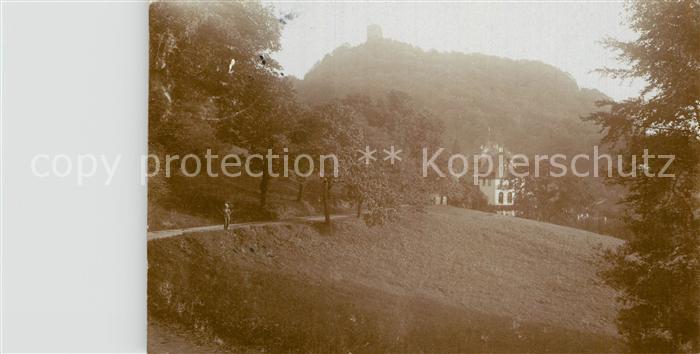 Koenigswinter Teilansicht mit Burgruine