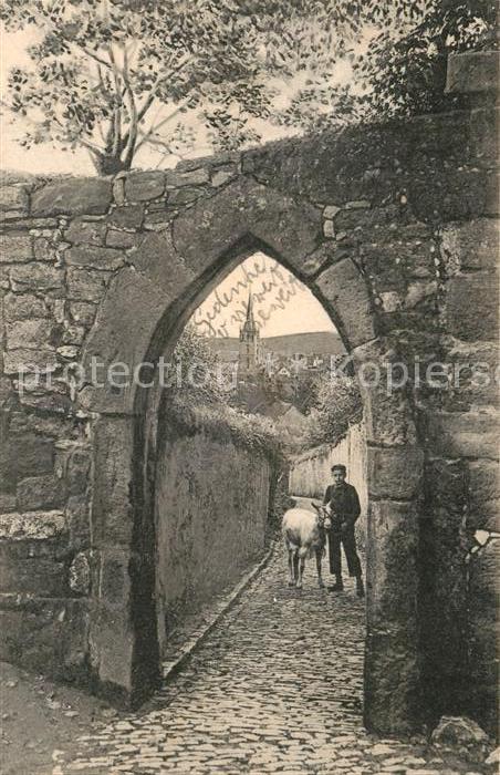 Moritzberg Hildesheim Kleine Steuer Stadtmauer