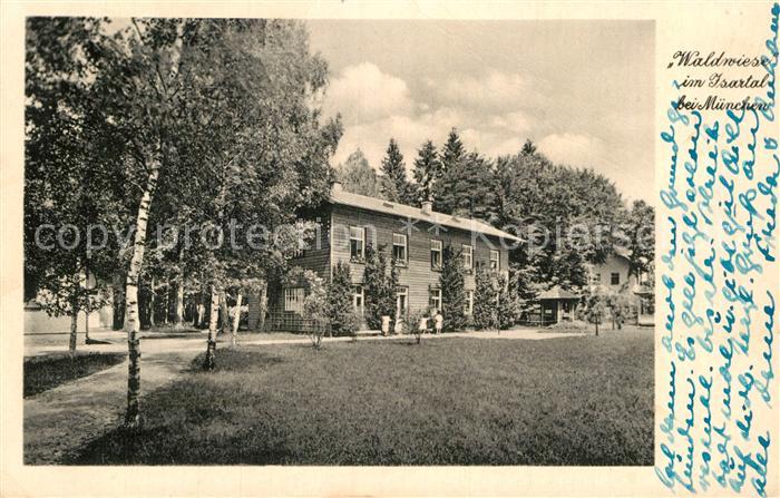 Muenchen Bayern Waldwiese im Isartal