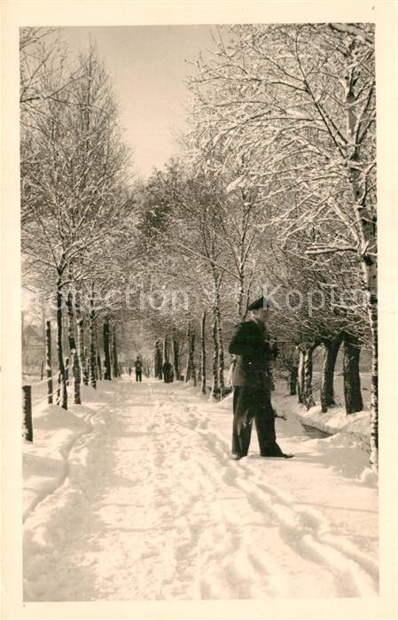 Roebel Mueritz Winterspaziergang