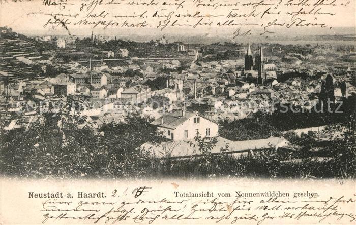 Neustadt Haardt Totalansicht vom Nonnenwaeldchen gesehen