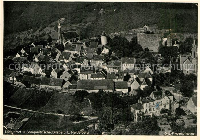 Dilsberg Luftkurort Bergfeste Gasthof Schoene Aussicht Original Fliegeraufnahme