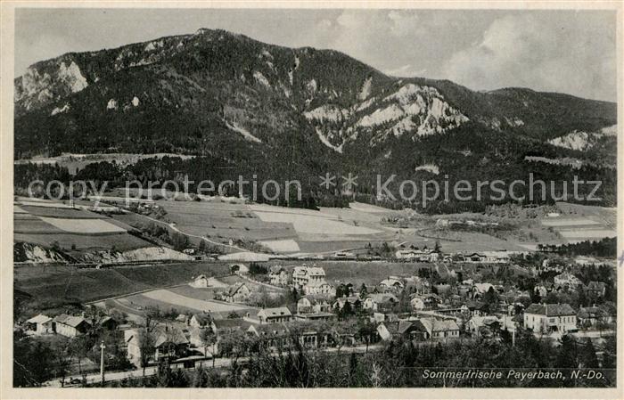 Payerbach Panorama Sommerfrische