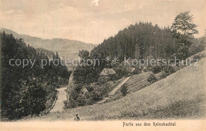 Reimsbachtal Panorama