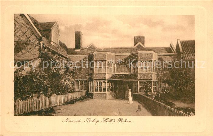 Norwich UK Bishop Halls Palace Tucks Postcard