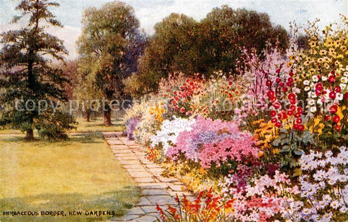 Kew Gardens London Herbaceous Border Flowers