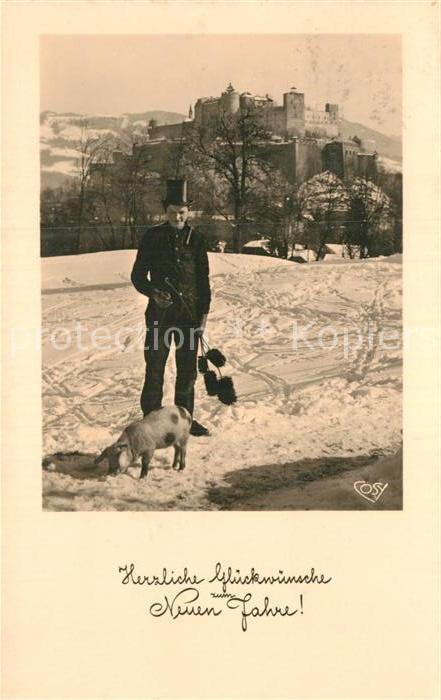 Schornsteinfeger Schwein Neujahr