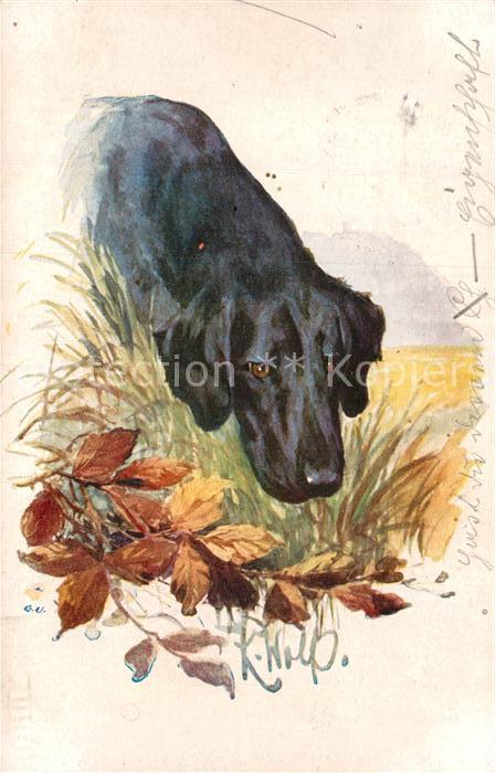 Kuenstlerkarte K. Wolf Hund