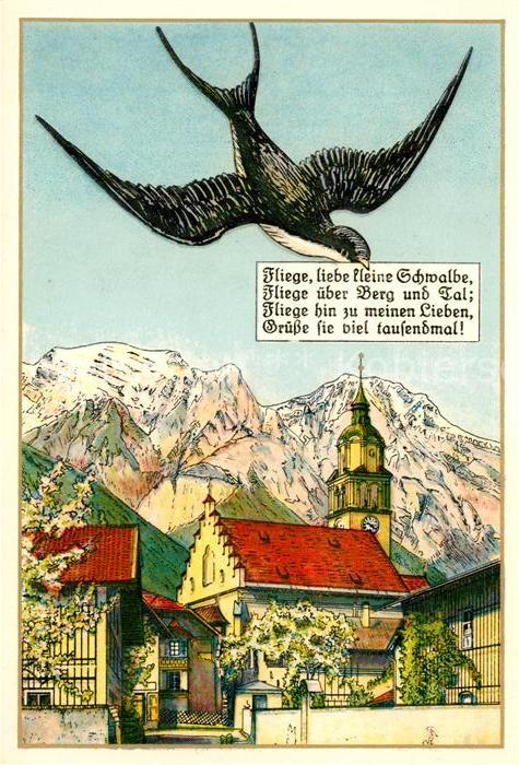 Tirol Region Maria Absam Fliege liebe kleine Schwalbe