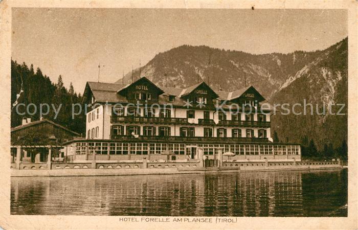 Plansee Hotel Forelle