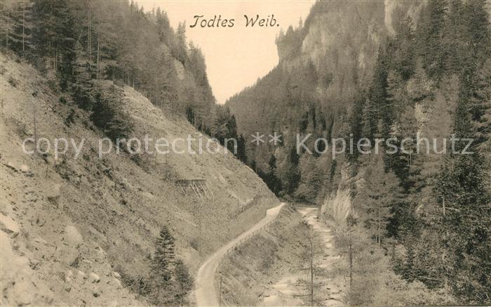 Muerzsteg Totes Weib Naturdenkmal