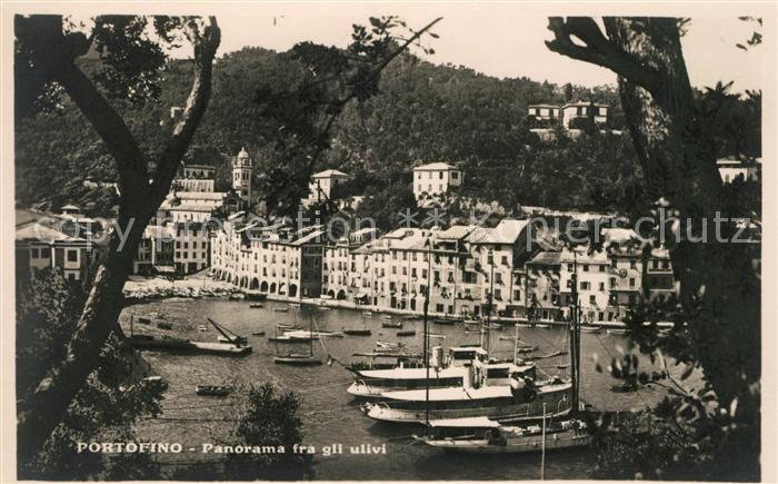 Portofino Liguria Panorama