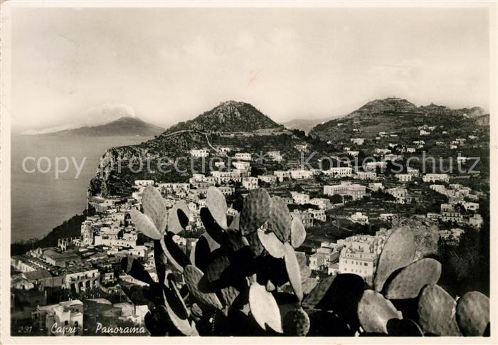 Capri Panorama