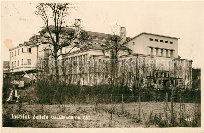 Gallspach Institut Zelleis