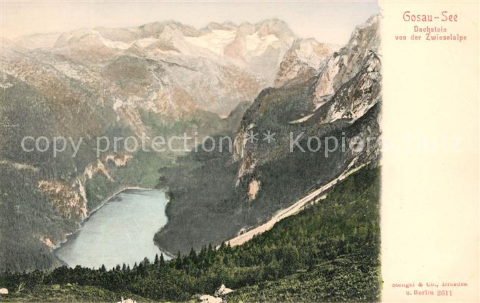Gosau Oberoesterreich Blick von Zwieselalpe auf Dachstein