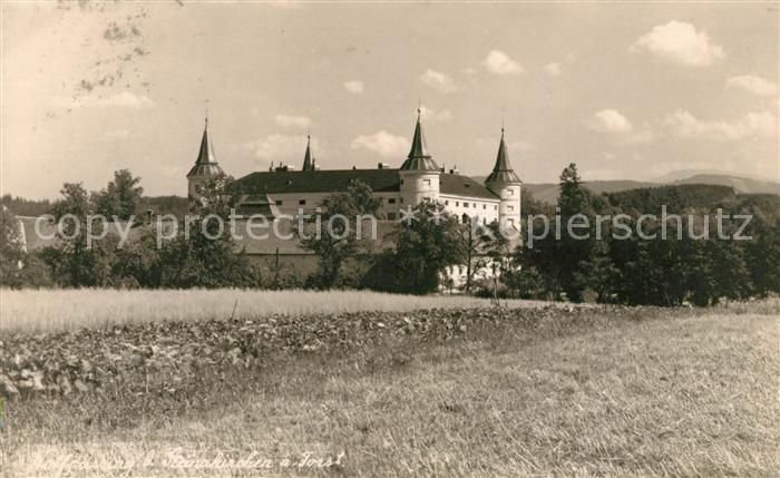 Steinakirchen Forst Kloster