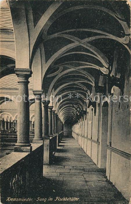 Kremsmuenster Gang im Fischbehaelter