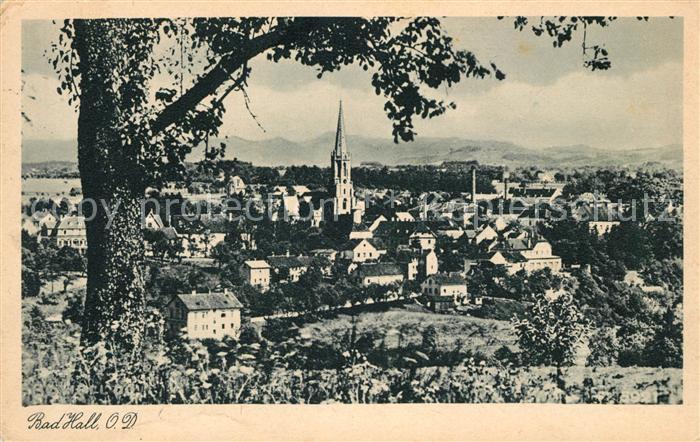 Bad Hall Oberoesterreich Panorama