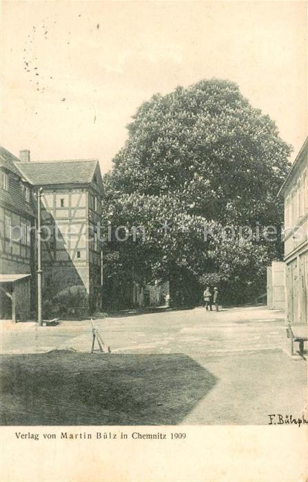 CHEMNITZ Sachsen Ortsmotiv mit Kastanienbaum