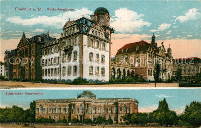 Frankfurt Main Senkenbergianum Staedtisches Kunstinstitut