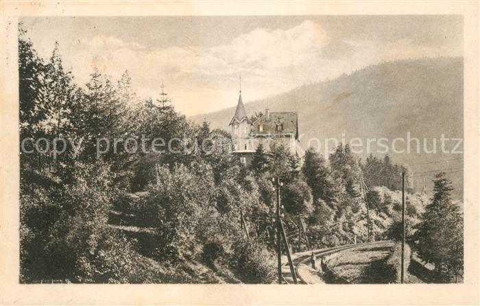 Wilischthal Gasthaus Jagdschaenke