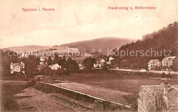 Eppstein Taunus Staufenweg und Muellerwiese