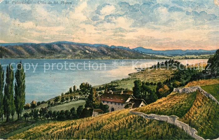 Erlach BE St Petersindel Bielersee Landschaftspanorama Kuenstlerkarte