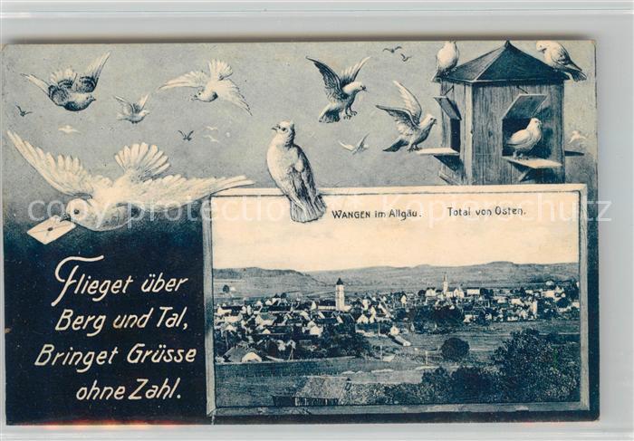 Wangen Allgaeu Total von Osten Briefschwalben