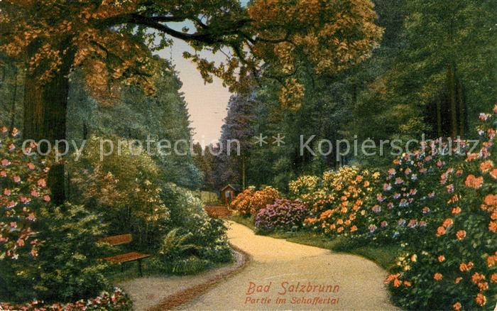 Bad Salzbrunn Szczawno-Zdroj Partie im Schaffertal