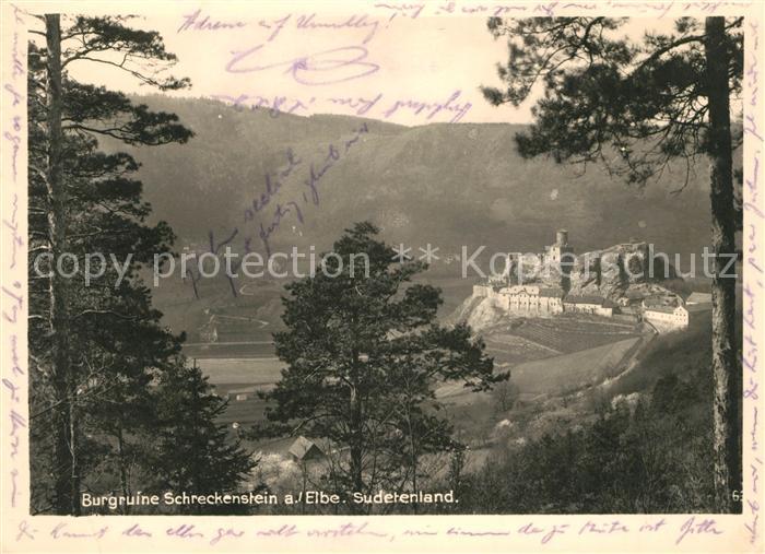 Burg Schreckenstein Burg Strekov Burgruine Sudetenland