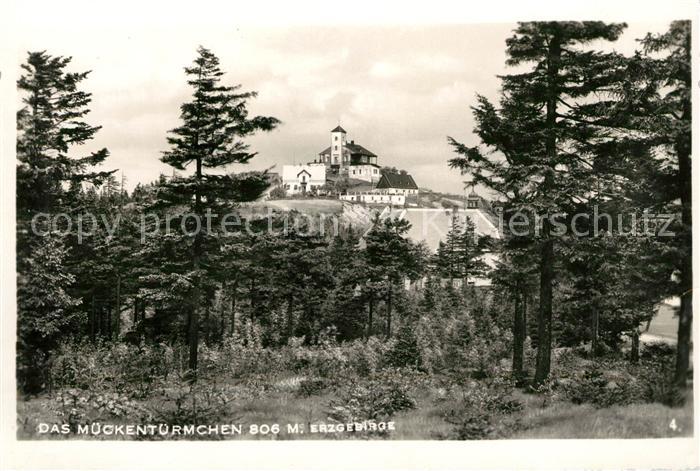 Mueckenberg Erzgebirge Waldpartie Mueckentuermchen