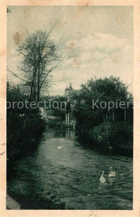 Iglau Jihlava Partie am Fluss an der Hoeckmuehle Schwaene