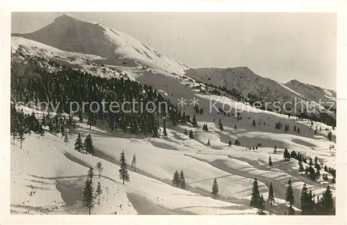 Rachov Pop Ivan Winterpanorama